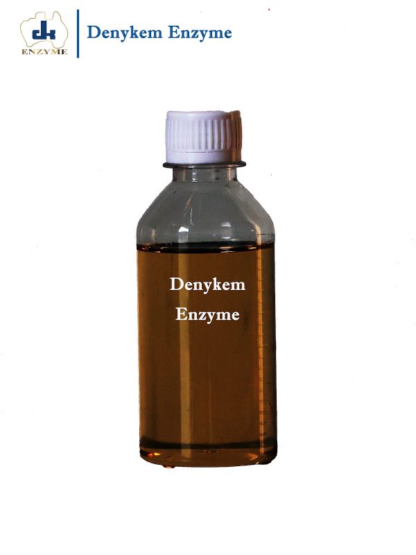 Denykem Enzyme-Ind-2