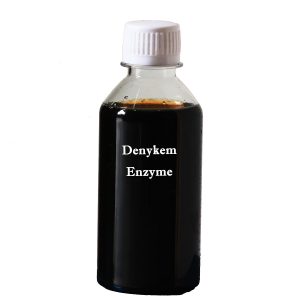 Denykem Enzyme-Ind-4