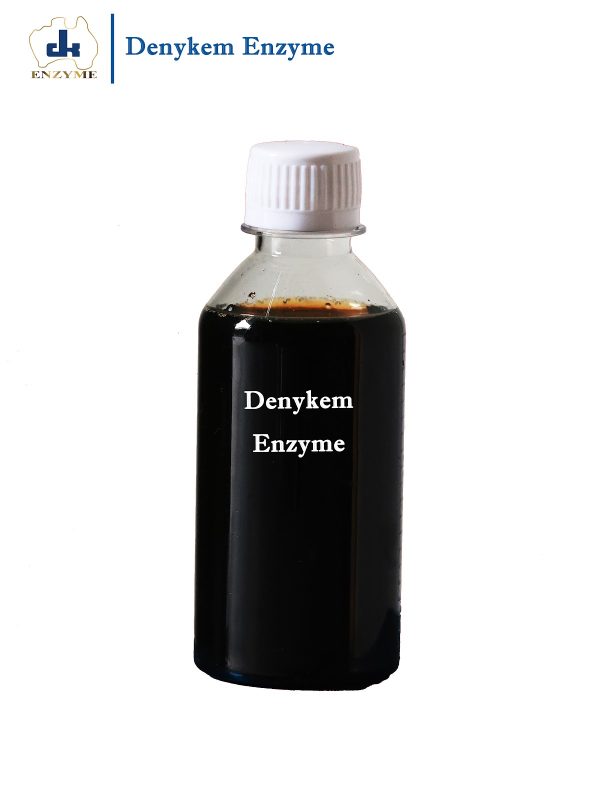 Denykem Enzyme-Ind-4