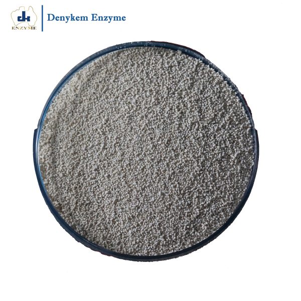 Denykem Enzyme-Ind-9